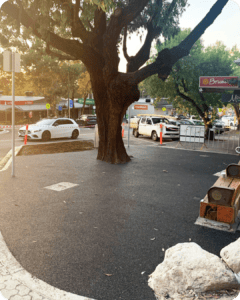 Porous Lane Tree Surrounds 1
